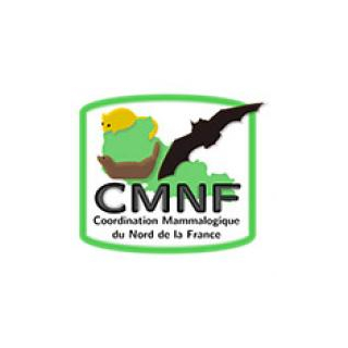 CMNF