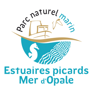 PNM EPMO