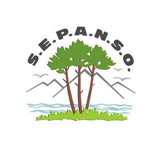 logo SEPANSO